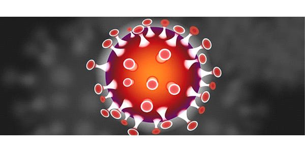 香港單向通關(guān)最新消息今天，冀港深發(fā)揮“雙引擎”